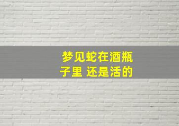 梦见蛇在酒瓶子里 还是活的